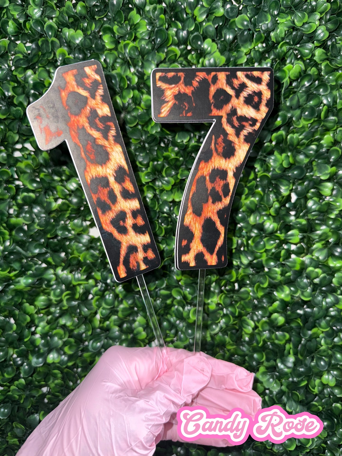 Cheetah Birthday Numbers